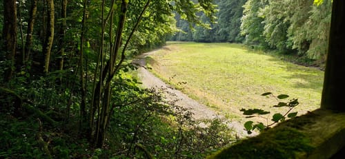 Premiumwanderweg: Wallfährte Weidingen