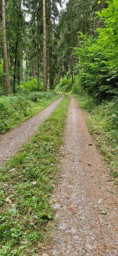 Premiumwanderweg: Wallfährte Weidingen