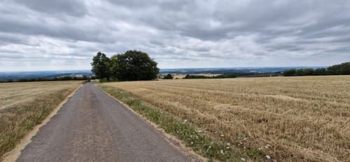 Premiumwanderweg: Wallfährte Weidingen
