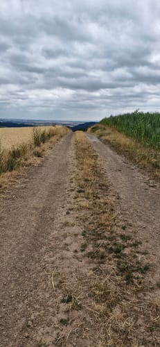 Premiumwanderweg: Wallfährte Weidingen