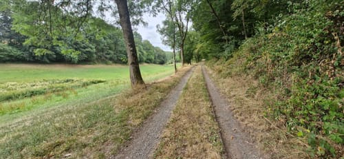 Premiumwanderweg: Wallfährte Weidingen