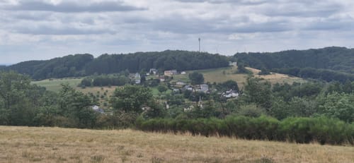 Premiumwanderweg: Wallfährte Weidingen