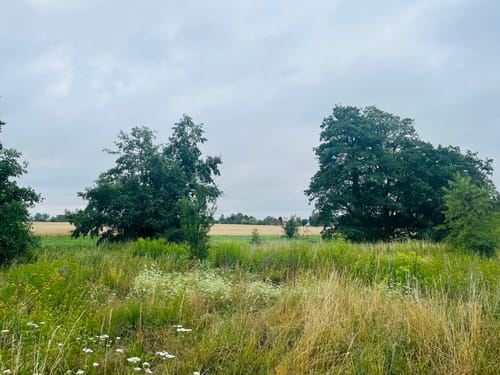 Weg 14 - Wuhletalweg
