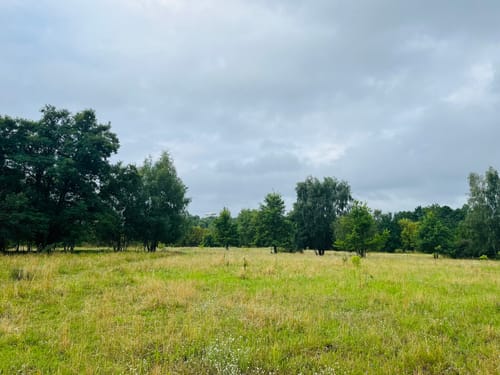 Weg 14 - Wuhletalweg