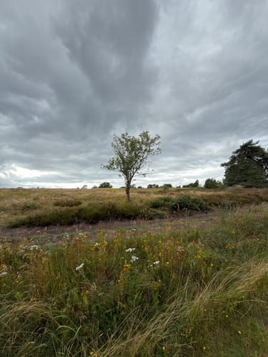 Im Tal der Haverbeeke: Zum Alfred-Toepfer-Blick