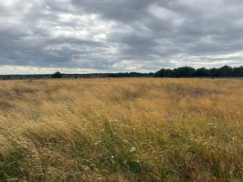 Im Tal der Haverbeeke: Zum Alfred-Toepfer-Blick