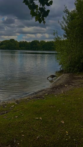 Rund um den Altwarmbüchener See