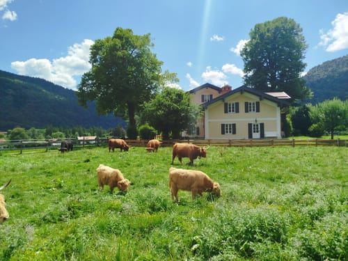 Leonhardstein ab Kreuth