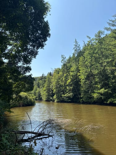 Teufelspfad (Premiumwanderweg)