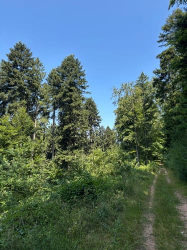 Teufelspfad (Premiumwanderweg)