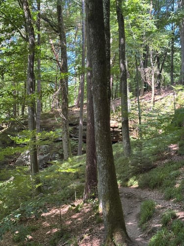 Teufelspfad (Premiumwanderweg)