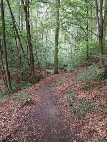 Pillnitz Rundweg