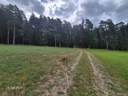 Daberger Rundweg (Fu61)