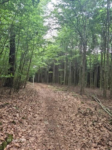 Daberger Rundweg (Fu61)