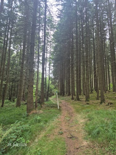 Daberger Rundweg (Fu61)