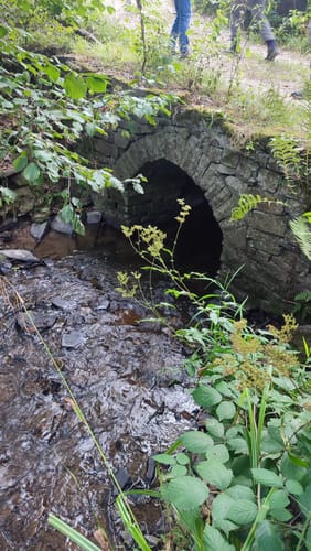 Seelscheid - Niederwennerscheid - Deesem