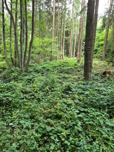 Kalltal - Keltzerbach Nr. 12