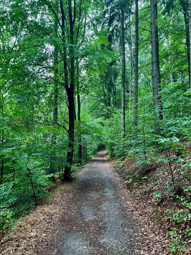 Große Schrammsteinrunde