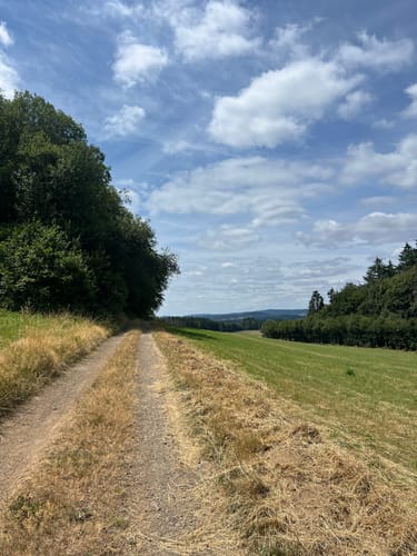 HeimatSpur Großer Dauner