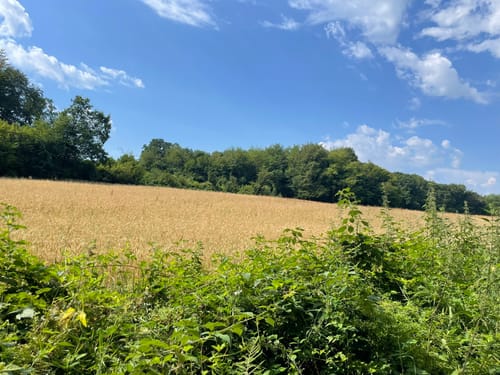 Natursteig Sieg - Etappe 7: Herchen - Schladern