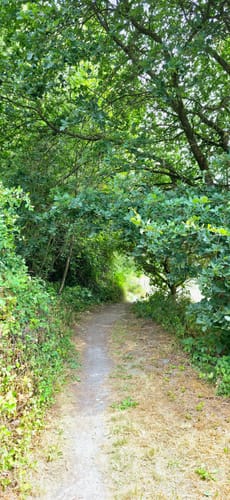 Nette-Schieferpfad (Traumpfad)