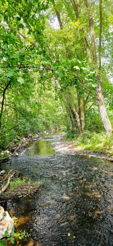 Nette-Schieferpfad (Traumpfad)