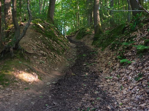 Rund um den Wartenberg