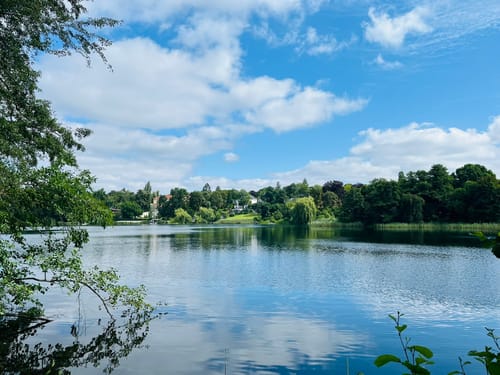 Vom Schlachtensee zum Grunewald