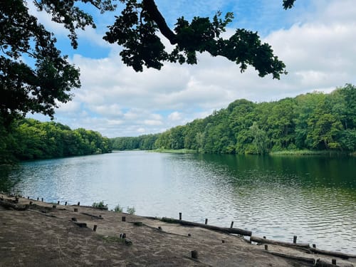 Vom Schlachtensee zum Grunewald