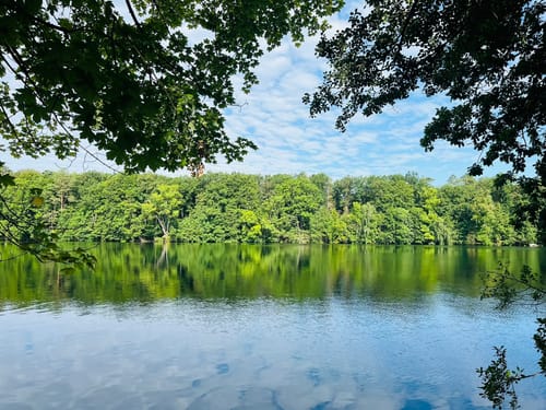 Vom Schlachtensee zum Grunewald