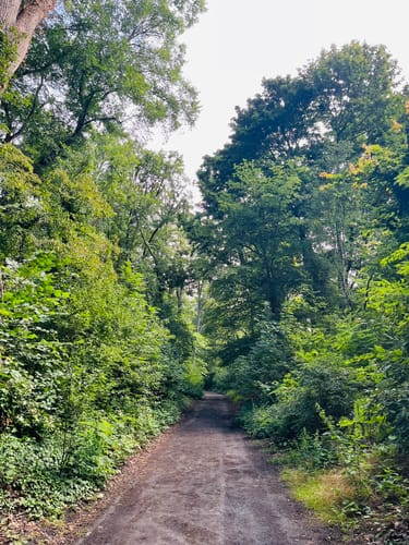 Vom Schlachtensee zum Grunewald