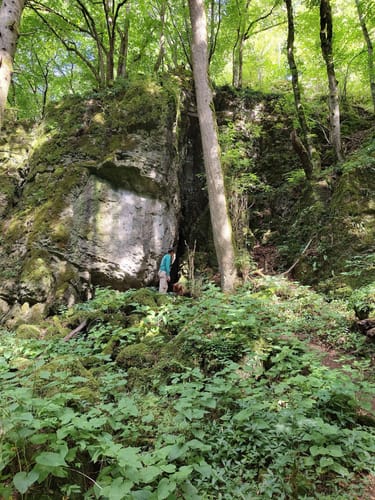Schönecker Schweiz Rundweg
