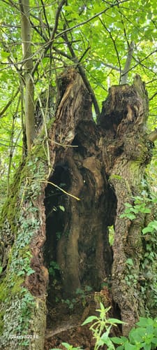Goseck-Eulau Rundweg