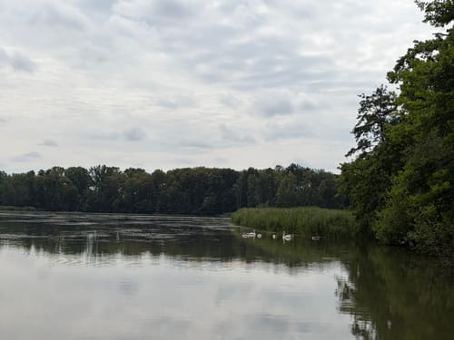 Wartha Teichrunde