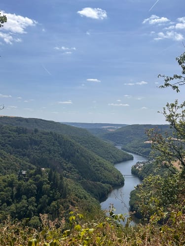Von Waldhof-Falkenstein zur Burg Falkenstein