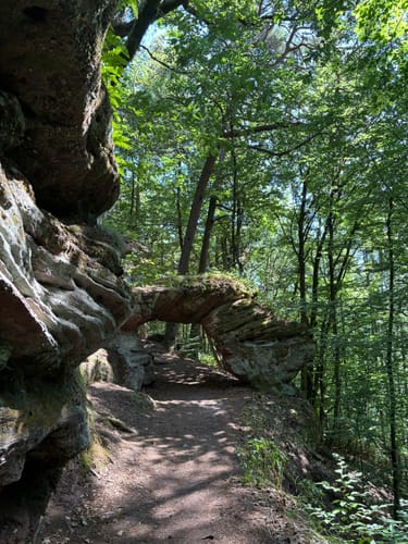 Felsenwald (Premiumwanderweg)