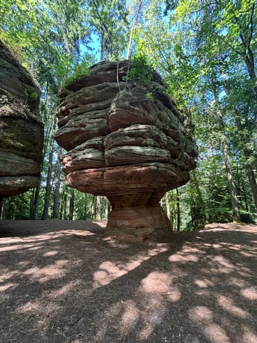 Felsenwald (Premiumwanderweg)