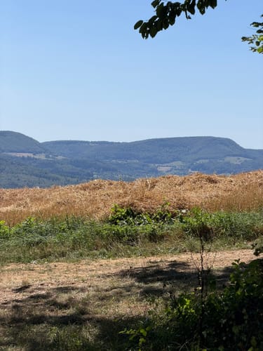 Burg Staufeck Runde