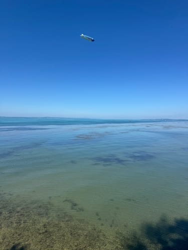 Bodensee-Rundwanderweg Etappe 4: Friedrichshafen - Lindau