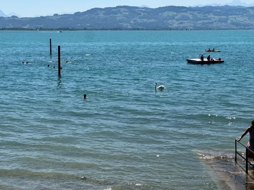 Bodensee-Rundwanderweg Etappe 4: Friedrichshafen - Lindau