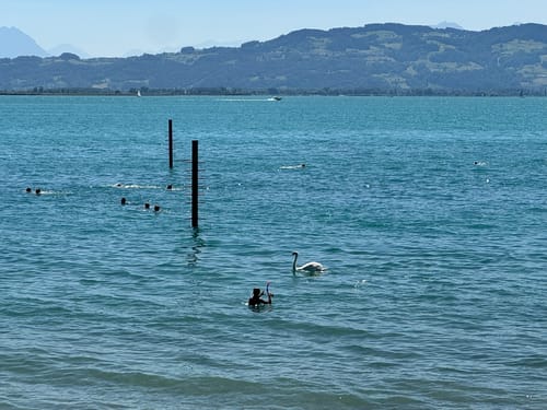 Bodensee-Rundwanderweg Etappe 4: Friedrichshafen - Lindau