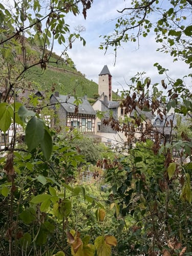 Bacharach - Burg Stahleck -  Neurath