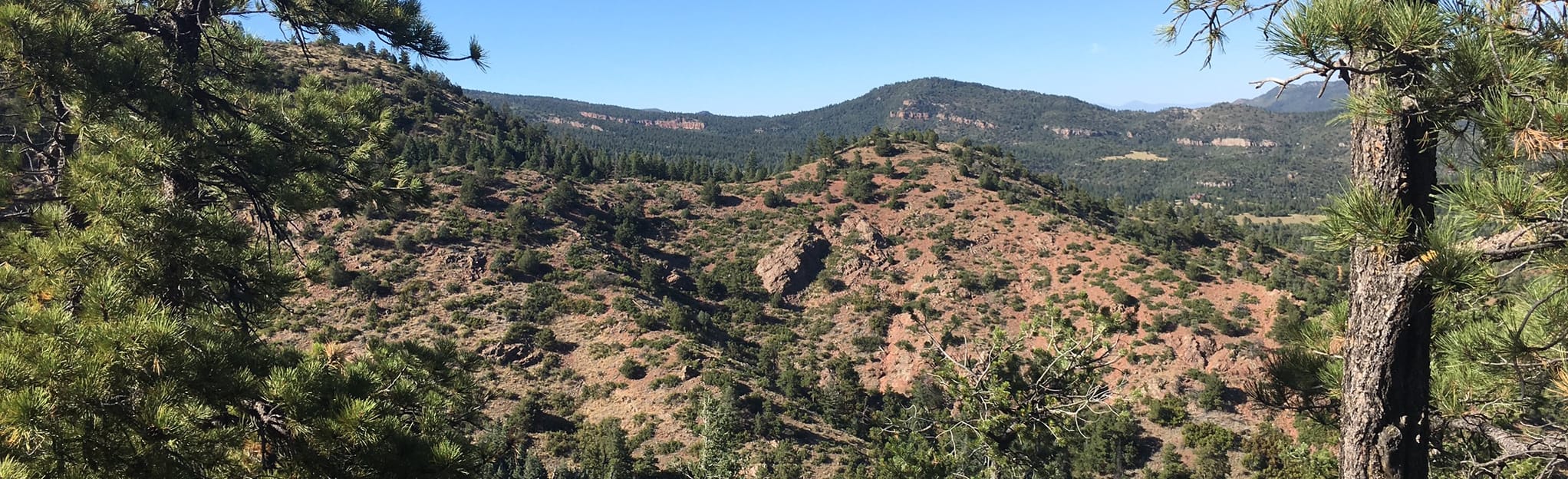 Northridge Trail and Mace Trail Loop Map, Guide Colorado AllTrails