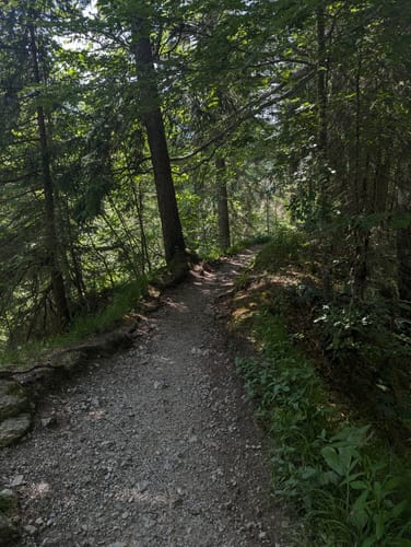 Oberstdorf zu Seealpe via Faltenbach
