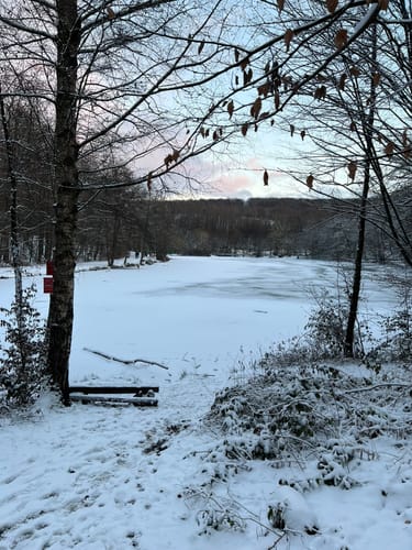 Wilder Netzbachpfad (Premiumwanderweg)