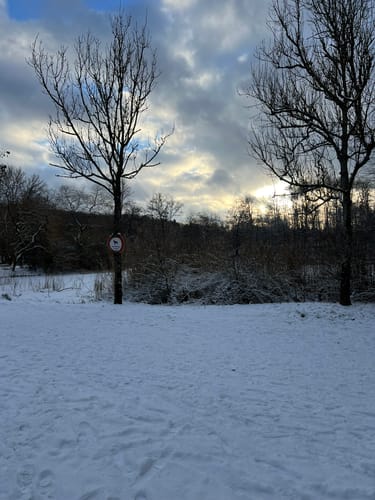 Wilder Netzbachpfad (Premiumwanderweg)
