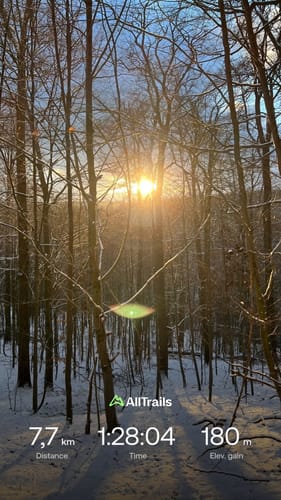 Wilder Netzbachpfad (Premiumwanderweg)