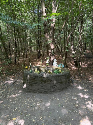 Durch die Wälder bei Schloss Landsberg