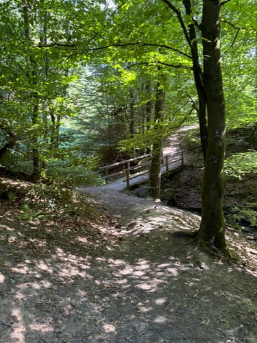 Durch die Wälder bei Schloss Landsberg