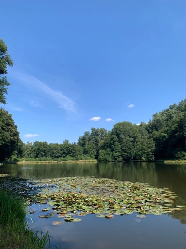 Naturschutzgebiet Theißtal und Waldsee ab Niedernhausen